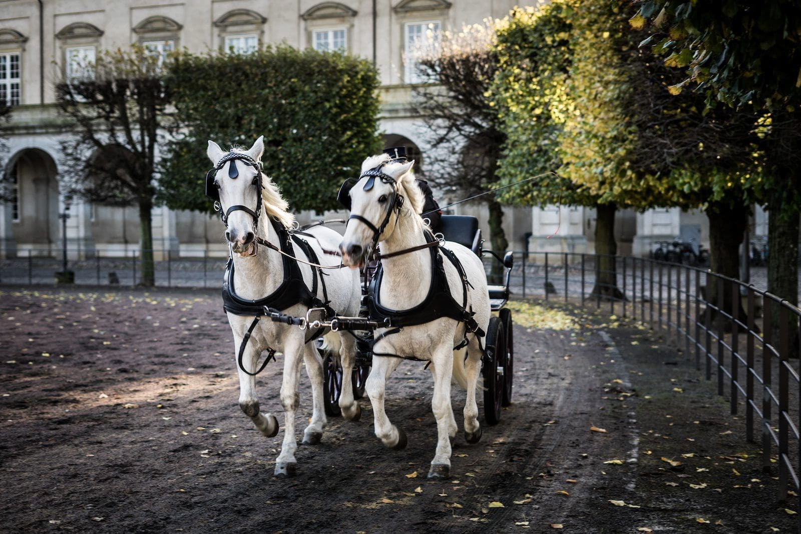 Le jeu du carrosse : une touche d’originalité pour animer votre journée de mariage