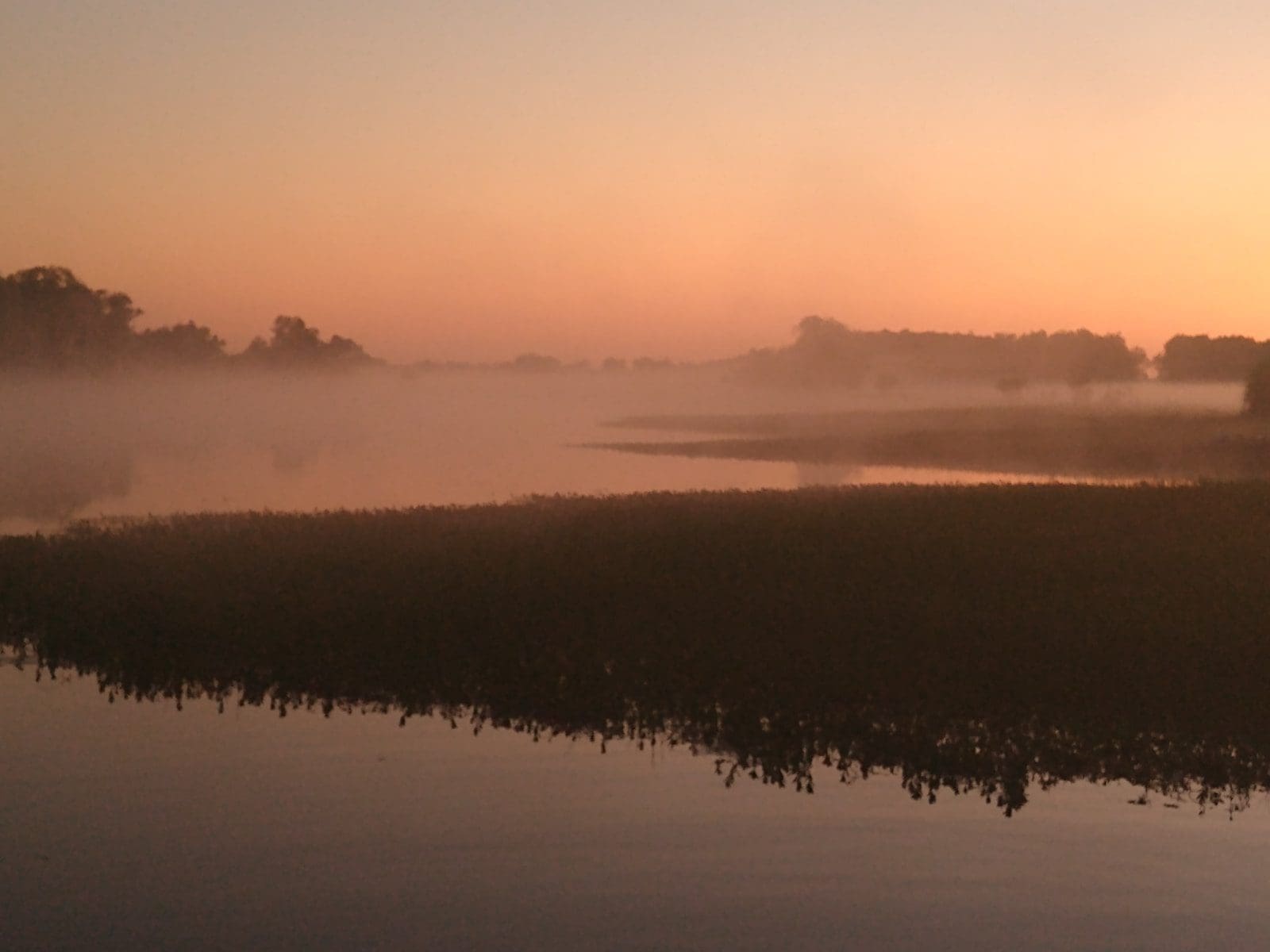 Kakadu - Australie
