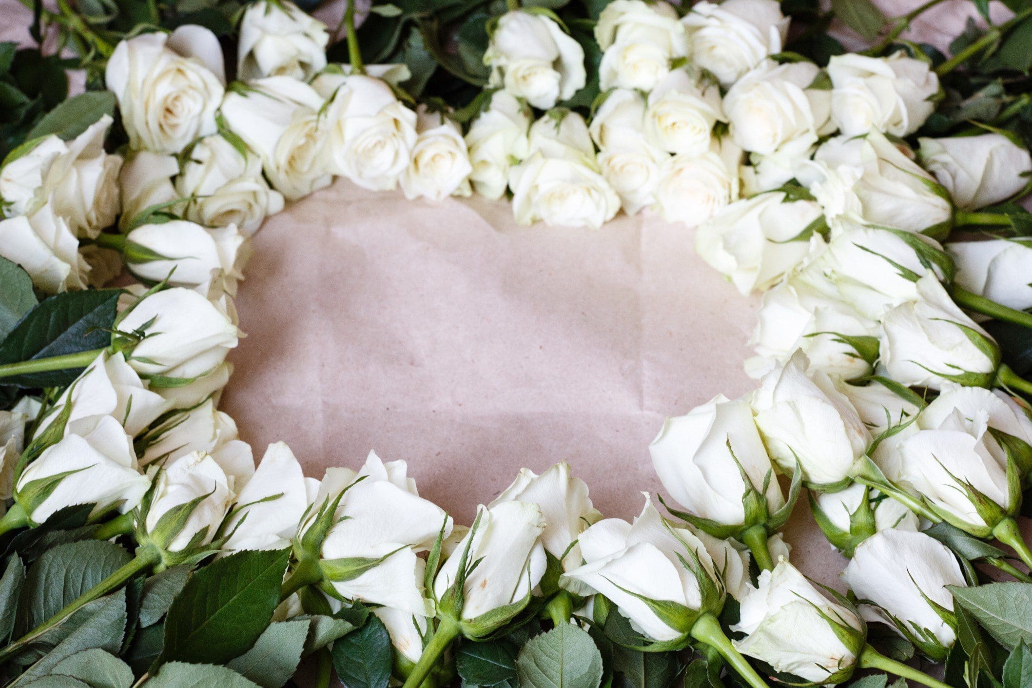 Signification des roses blanches
