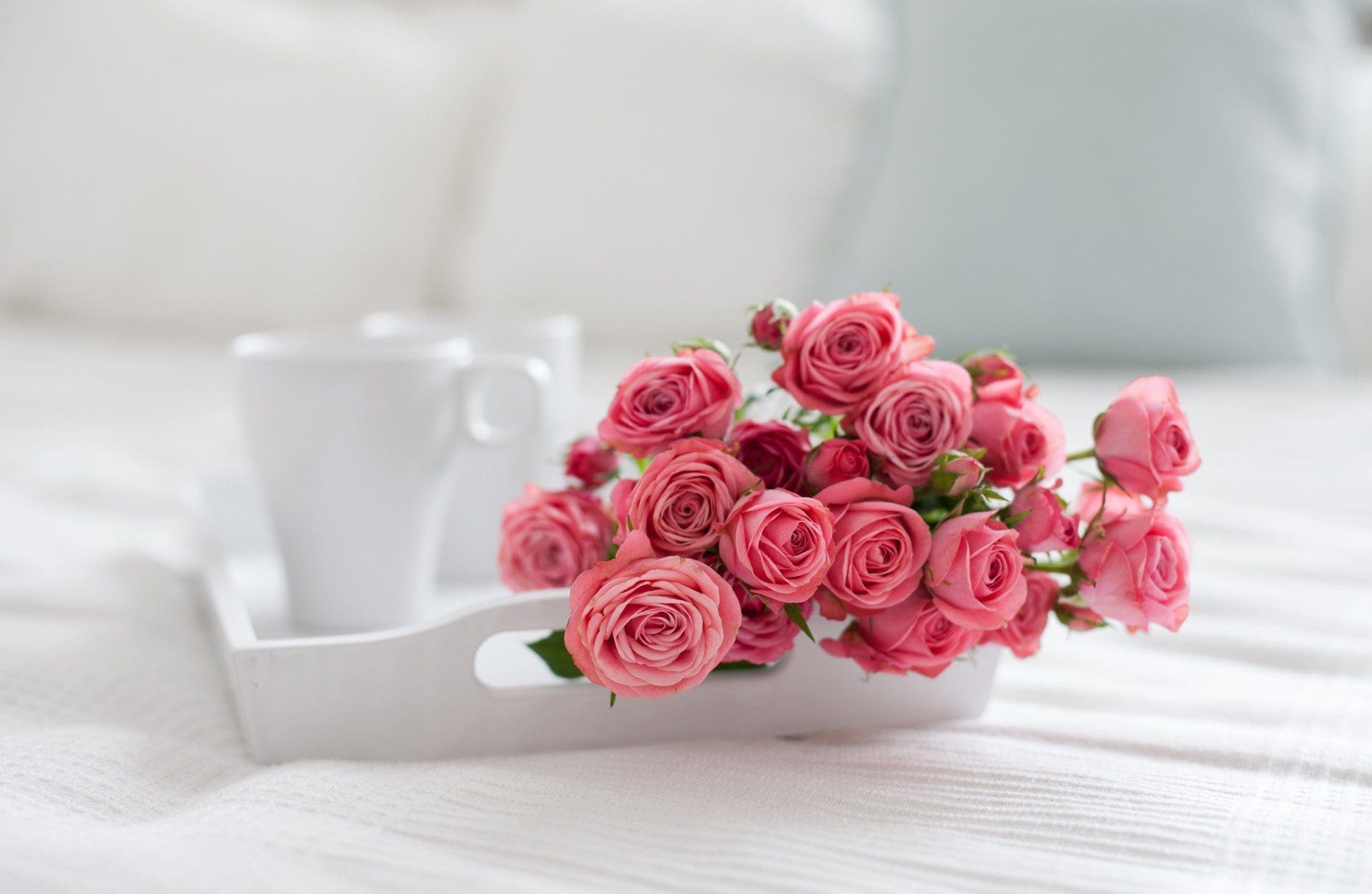 signification roses